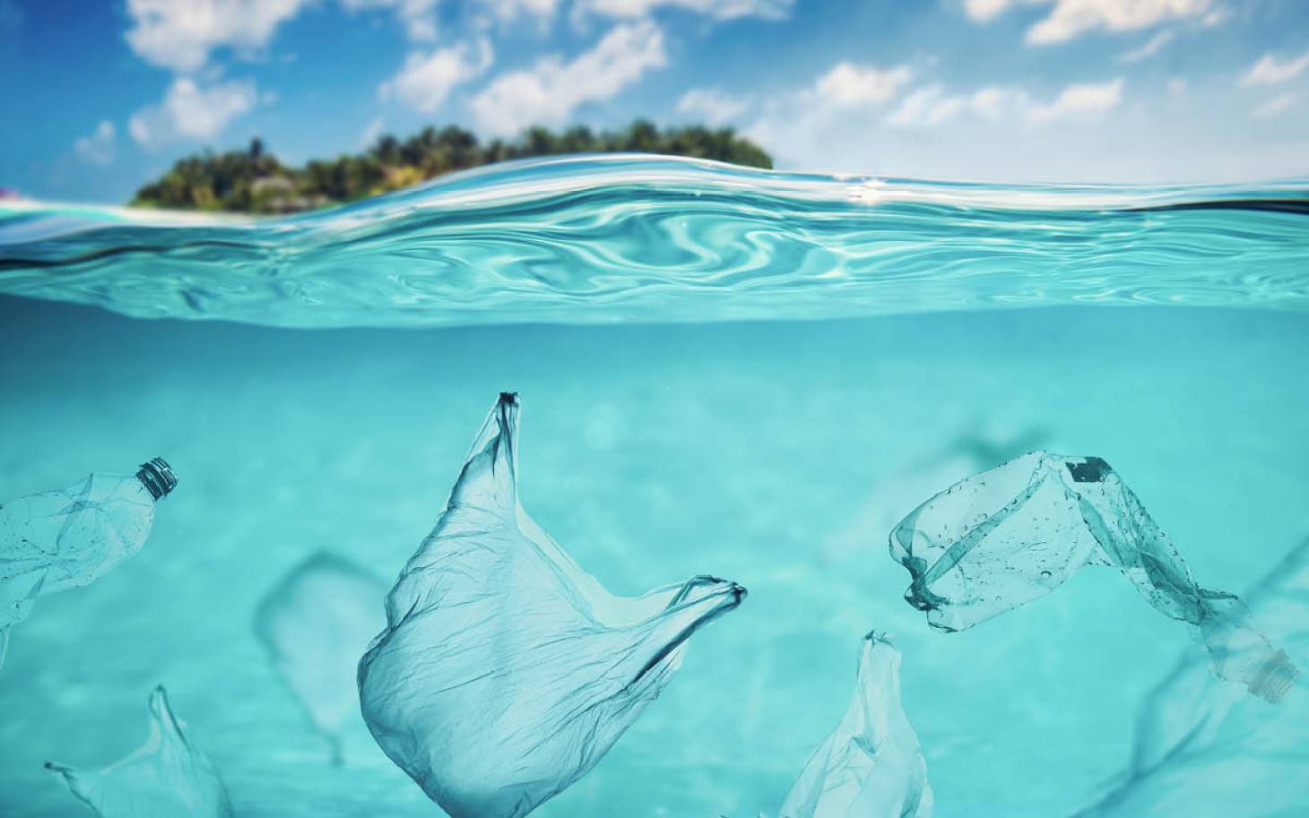 Une journée mondiale sans sac plastique