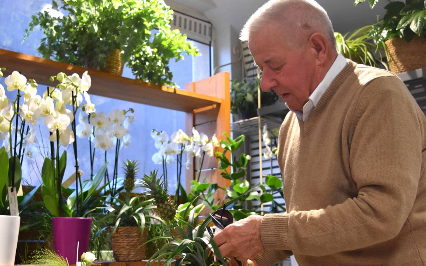 Pesticides : les fleuristes face à un tabou