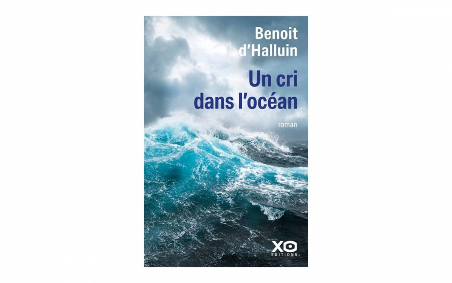 Un cri dans l’océan  de Benoît d’Halluin