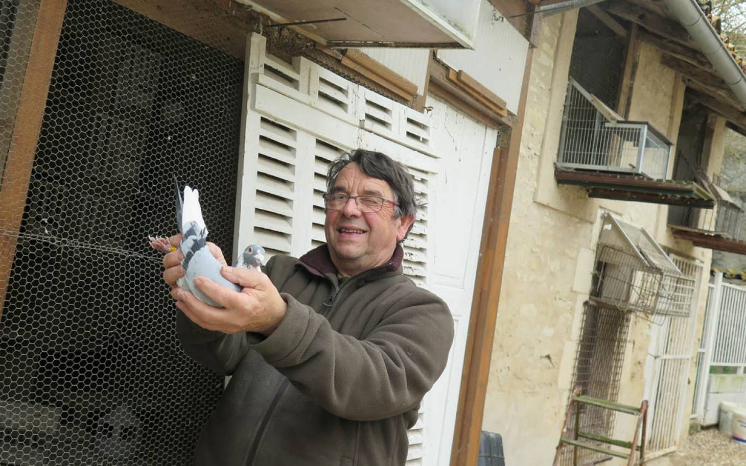 Plus de quarante ans à vol d’oiseau