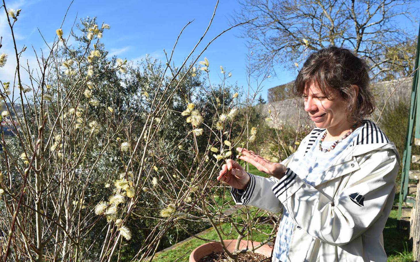 Quand allergique rime avec changement climatique