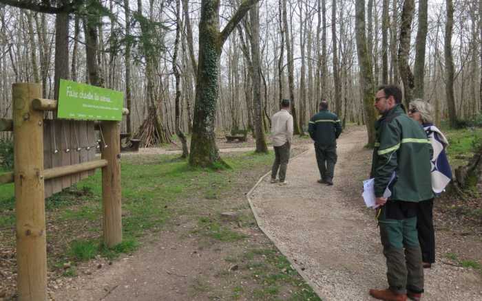 Forêt de Moulière : le Grand Recoin « nouveau » est arrivé !