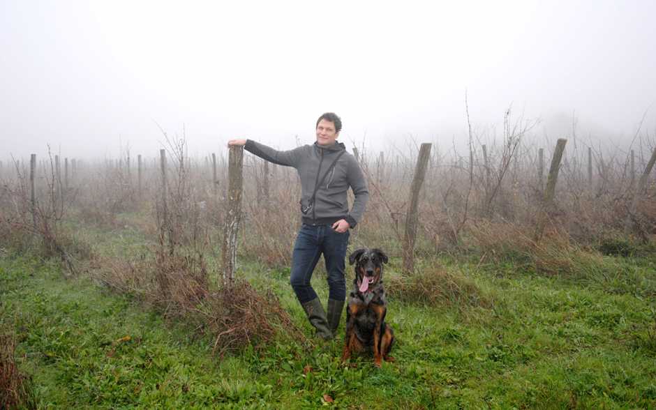 Le vignoble à cinq pattes