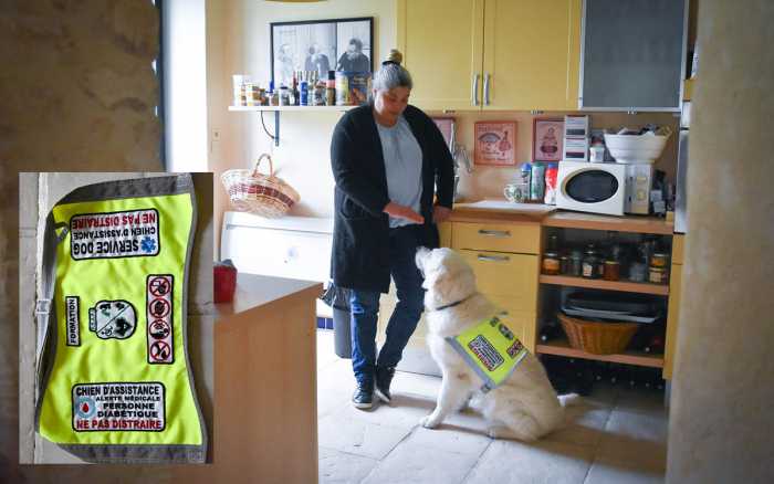 Gabin, chien d’alerte médicale