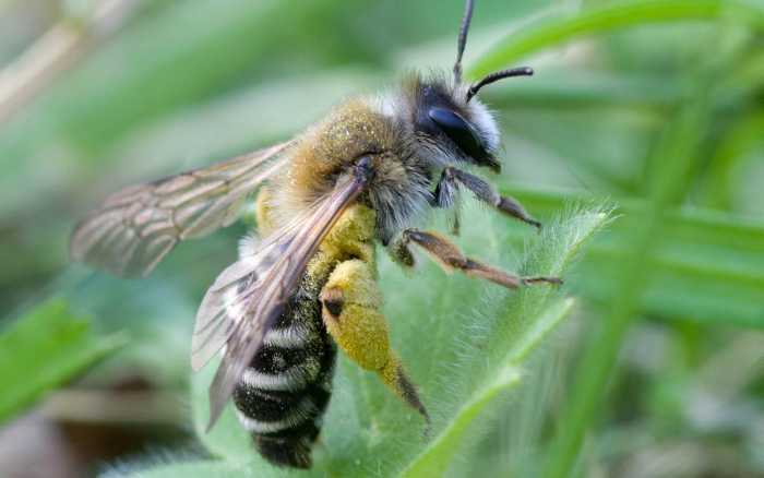 Des grandes destructions aux petits préjudices