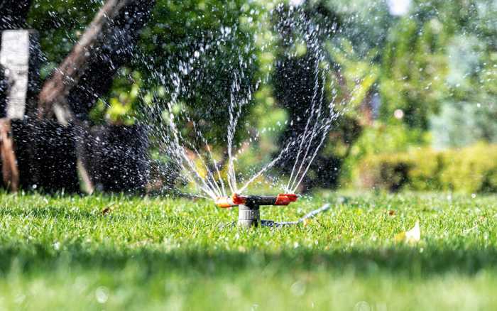 Goutte-à-goutte  ou intégré ?