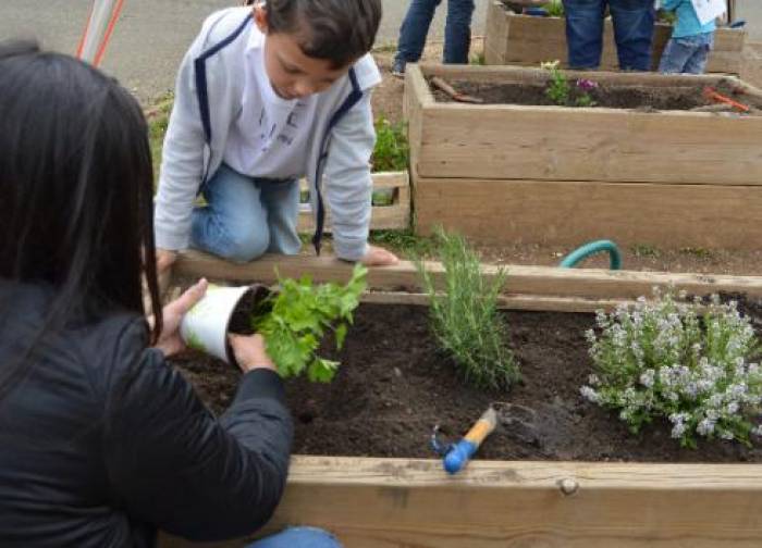 Les coins nature éveillent les sens