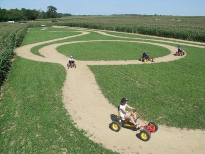 Labyrinthe végétal, au milieu des maïs